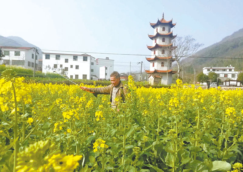 大清沟乡最新新闻报道概览