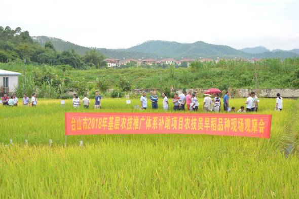 槐荫区农业农村局新项目推动农业现代化，乡村振兴再添动力